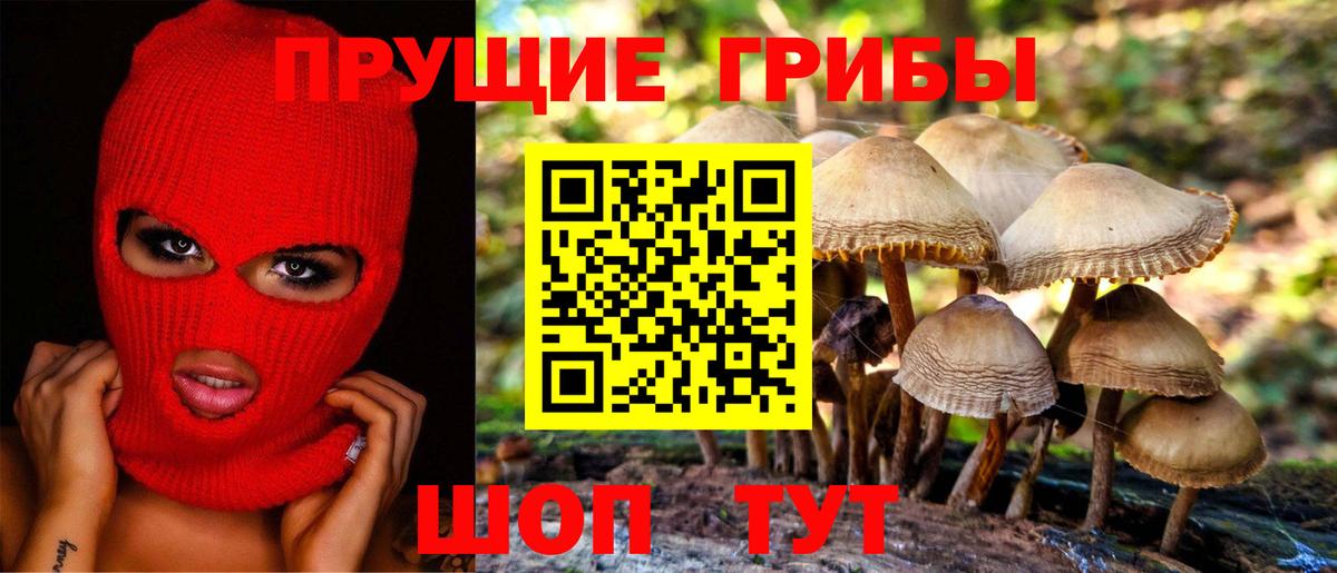 Галлюциногенные грибы мухоморы  Вход с VPN  Заволжье 